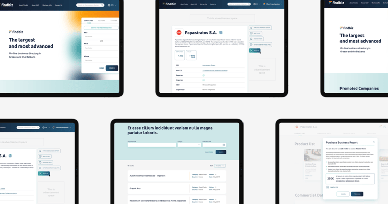 Findbiz redesign case study