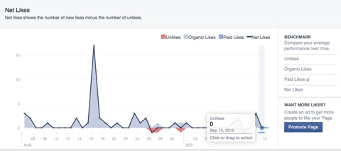 facebook marketing insights net likes