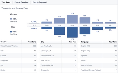 facebook marketing insights fans