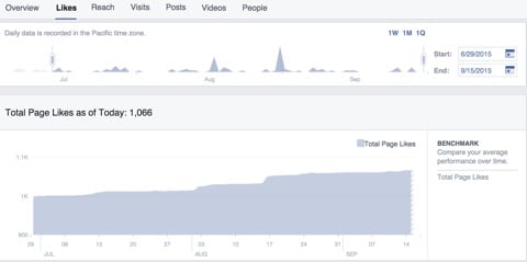 facebook marketing insights page likes